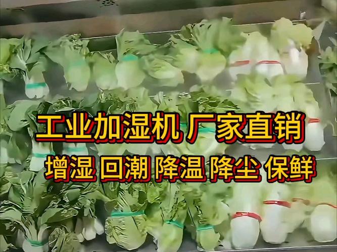 工业加湿机厂家直销 增湿、回潮、降温、降尘、保鲜一站式解决方案